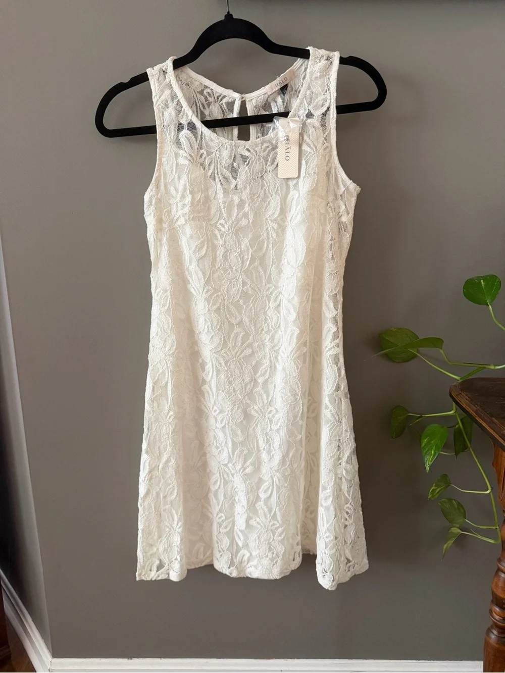 NWT *** Halo Ivory Lace Sleeveless Mini Dress. Size Small - Picture 1 of 5